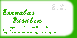 barnabas musulin business card